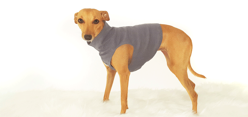 Canisenti Sweater für Hunde