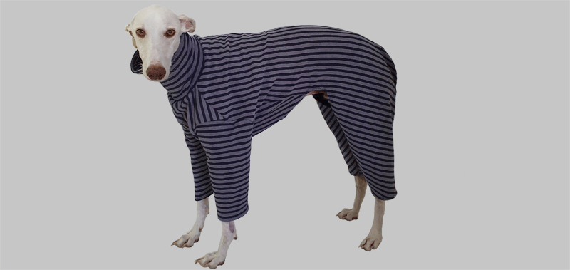 Canisenti Windhundshirt