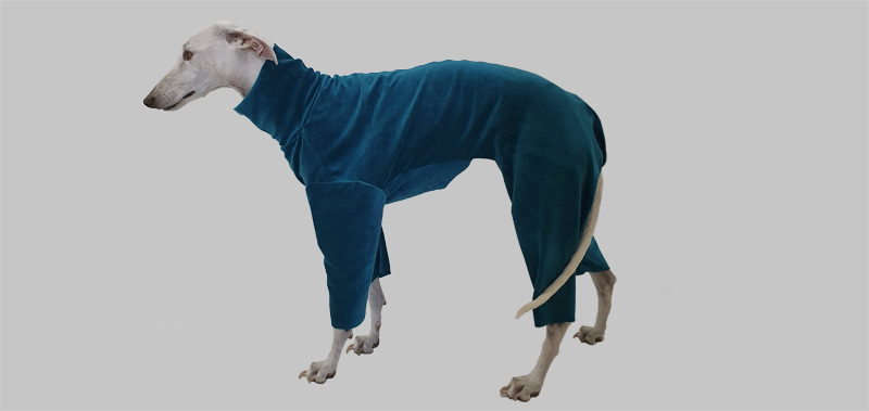 Canisenti Windhundshirt